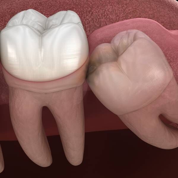 shutterstock_1254136171-(1)