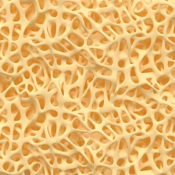 shutterstock_247450822